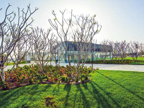 Lawn, plant bed and trees